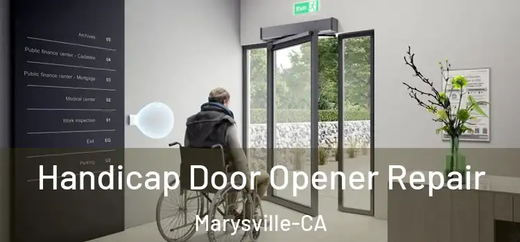  Handicap Door Opener Repair Marysville-CA